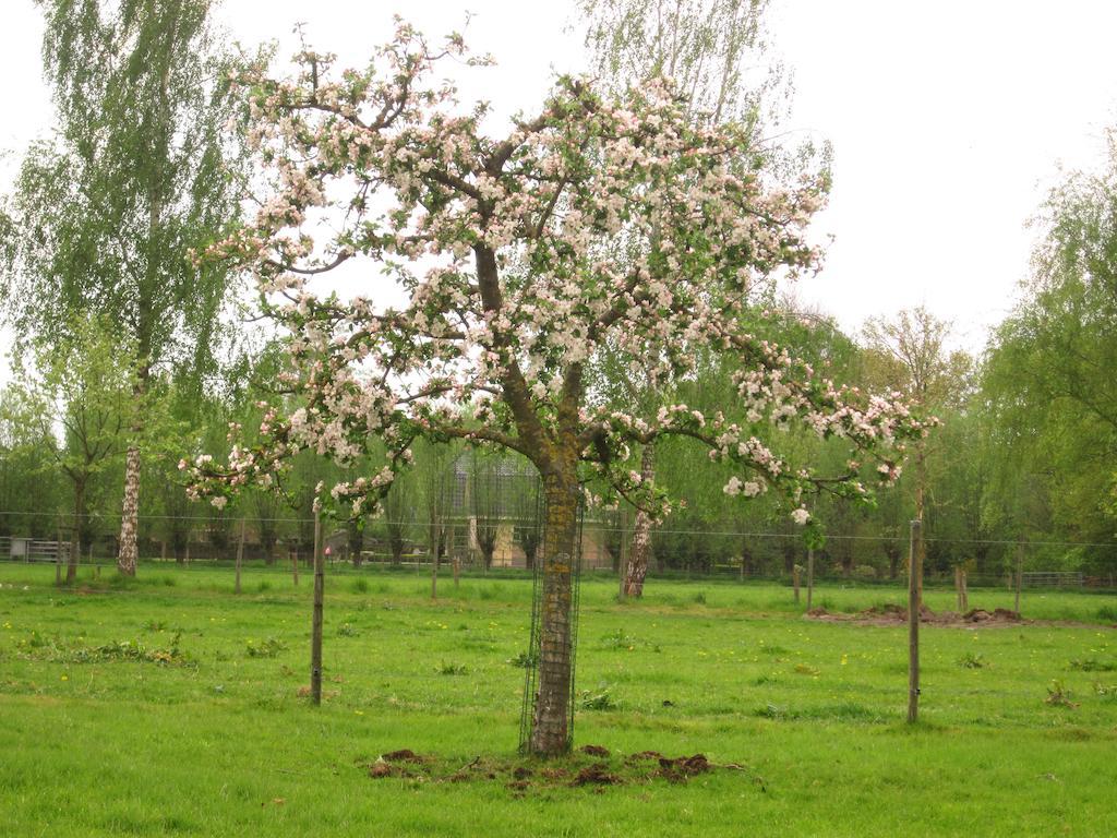 Leersum Bed And Breakfast Klein Groenbergen المظهر الخارجي الصورة